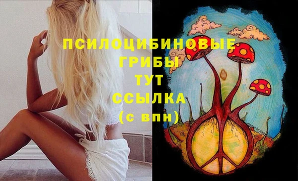 спайс Лабытнанги