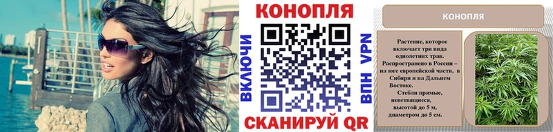это телеграм  Черноголовка  Бошки марихуана план 